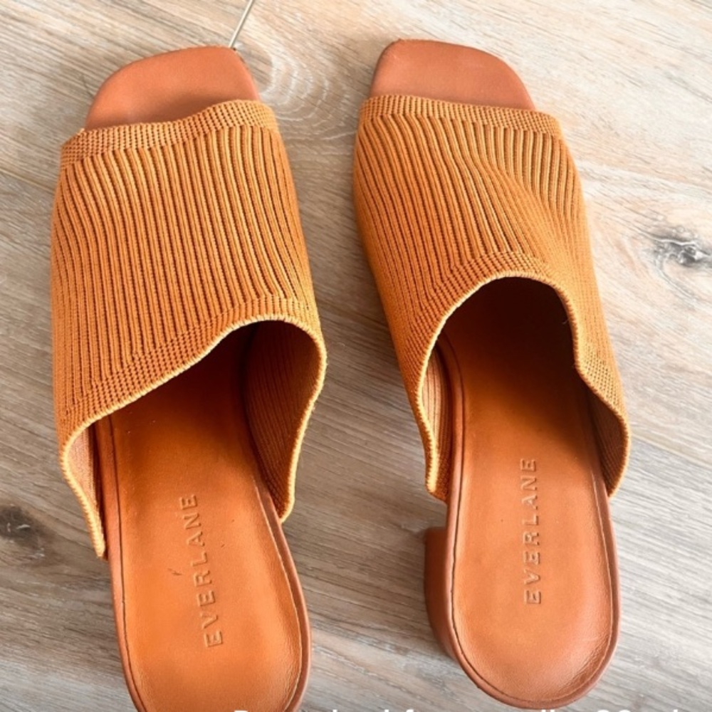 Everlane Mule